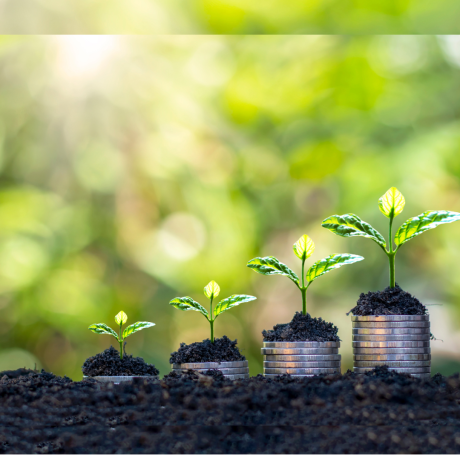 Growth-image-monicafayehall.com_